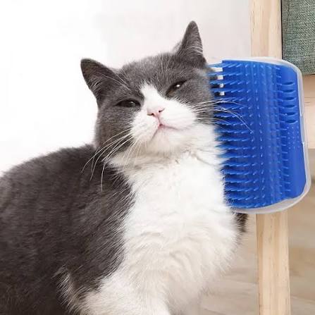 New Pet Cat Corner Scrubber Massager Cat Scratching Scratching Scratcher Cat Brush Comb Massage Corner Brush Pet Supplies
